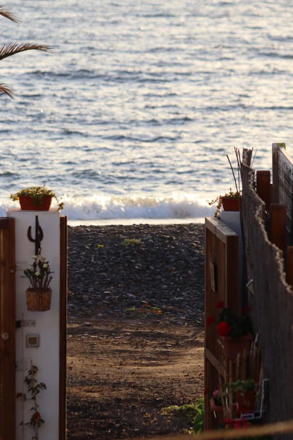 Apartment Con Encanto En La Playa Frente Al Mar 